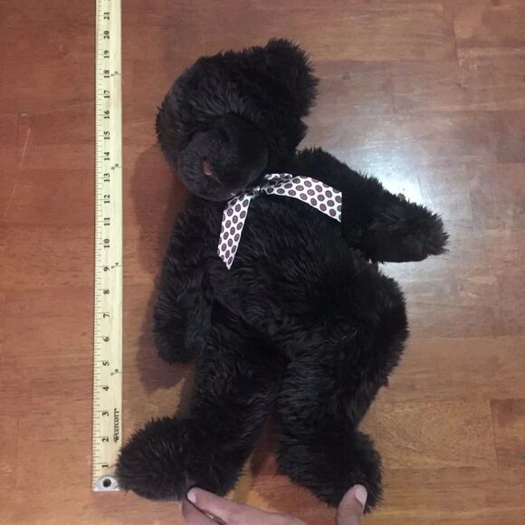 Brown Bear - Picture 11 of 11